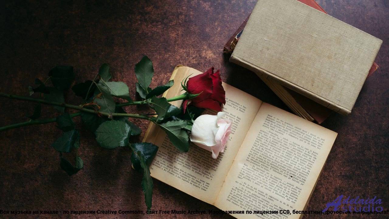 ✸ ♫ ❤ Трек, меняющий правила игры - 241031_003 -- Kosta T -- САУНА.mp4