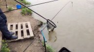 Поимка Карпа.Основной водоём
