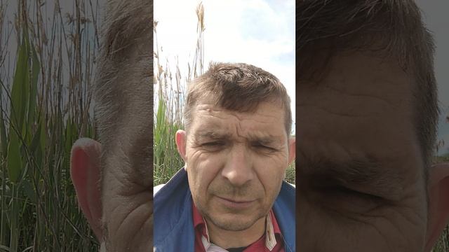 🌽🌽КУКУРУЗНАЯ САЖАЛКА ДЛЯ МОТОБЛОКА