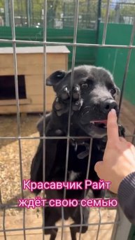 красавчик ждёт семью💜