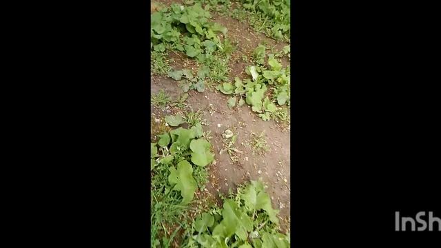 мир радиации 3 сезон 4 серия