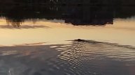 1000028918.mp4