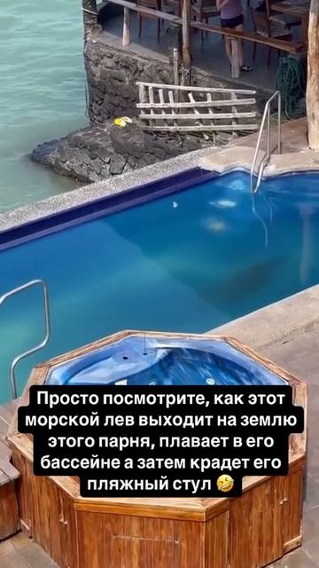 Офигевший