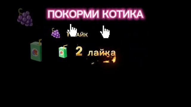 Котик