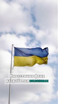 Дубинский: Зеленский превратил Украину в ресурсное Конго в центре Европы