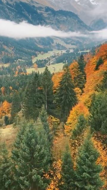Альгойские Альпы, Германия 🇩🇪