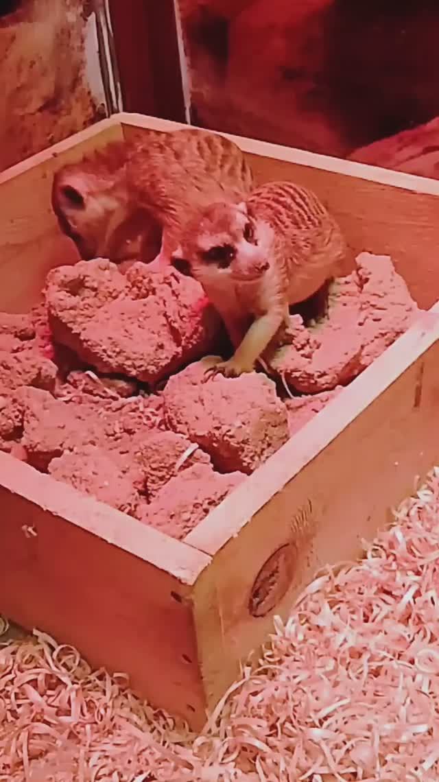 Три фильма про побег