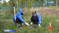 В Яковлевском округе на территории парка "Огненный рубеж" заложили "Сад памяти"