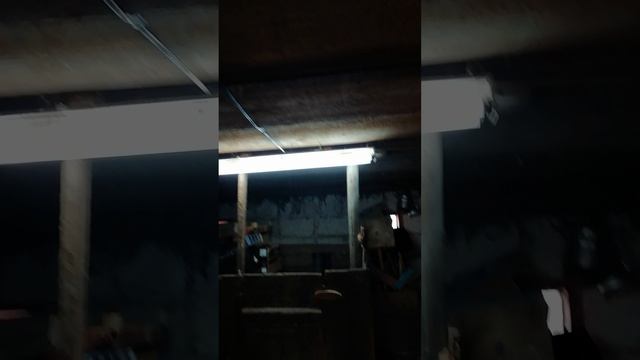 Беларуский светильник для люминесцентных ламп 2*40.