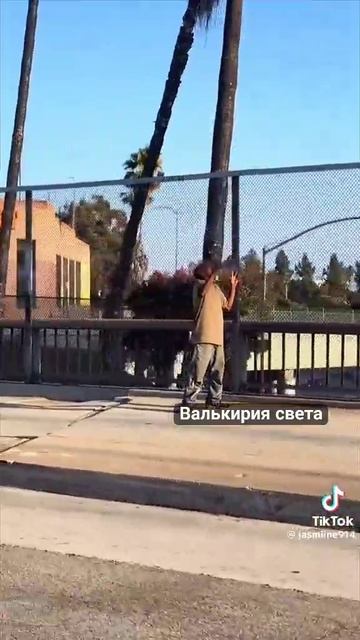 VID_20250503_234127_114.mp4