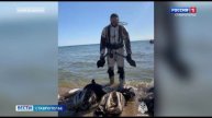 Ставропольские водолазы помогают убирать мазут на Черноморском побережье