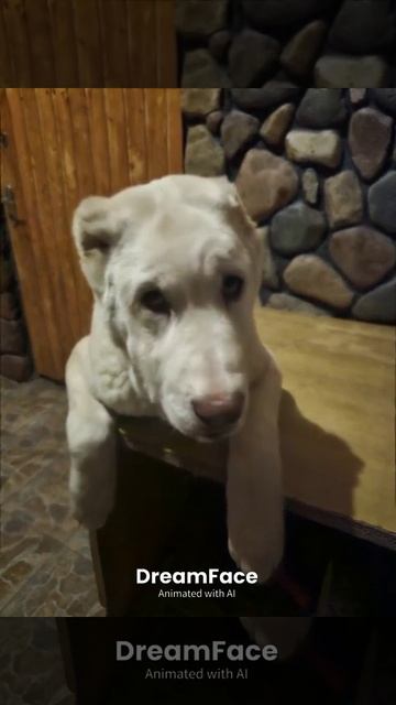 Сказание о Кае-3.