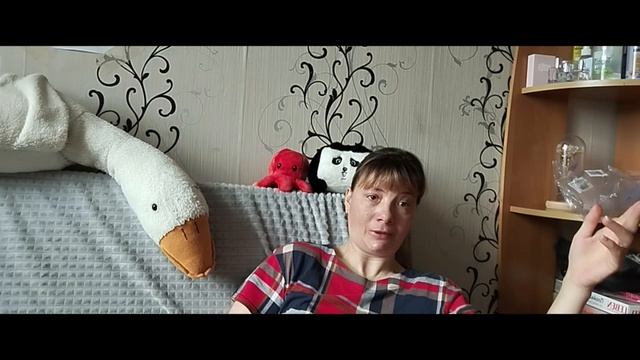 Чем я сегодня занималась. 3.05.2025