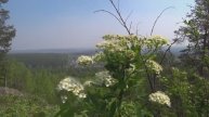 Поход на гору Копчик Свердловская область