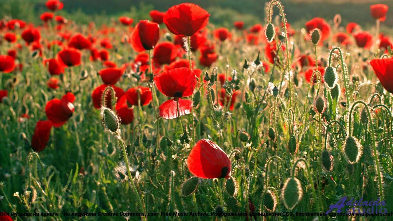 ☞ ❤ ♫ Песня, которую поймут в будущем - Melodic Dreams -- BlackTrendMusic -- Unnamed album.mp4