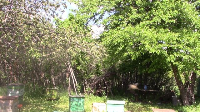 MVI_2276