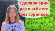 СОРНЯКИ ИСЧЕЗЛИ НАВСЕГДА! Гениальный способ без прополки и перекопки