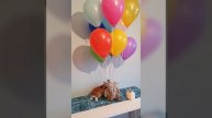 Неожиданный сюрприз из гелиевых шаров. Шары Гродно Happy