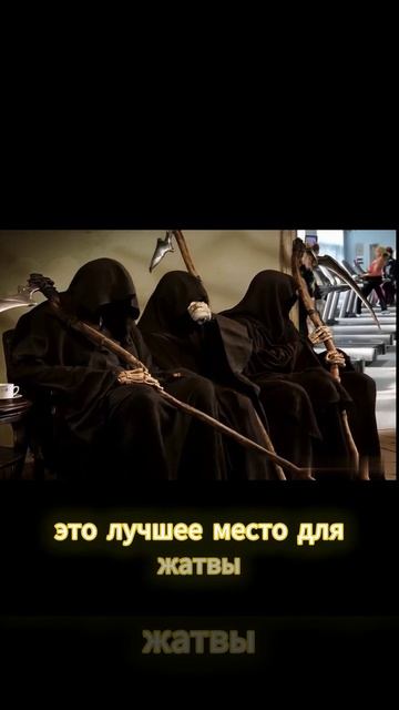 Жатва