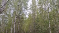 Смотреть страшные видео ужасы на канале Ужастиков "Голос с верху" самые новые видео