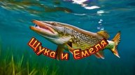 Щука и Емеля. Музыкальный клип.