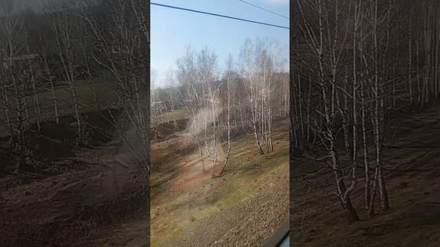 в электричке бесплатно