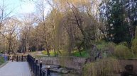 Набережная реки Ольховка в Кисловодском парке.Терренкур N1 #Кисловодск #курортыРоссии #Весна2025