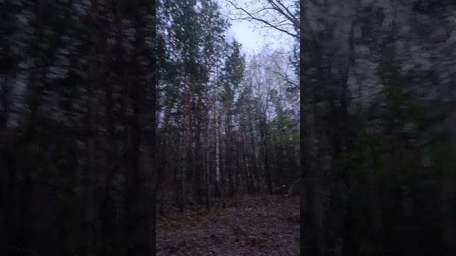Участок в Бархатово