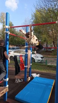 Workaut Gibbon sport