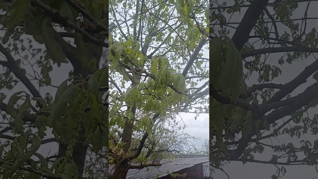 Субботнее утро.