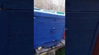 работают трудяги