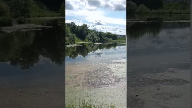 Динопарк г.Котельнич.