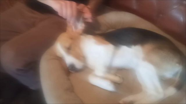 VID_20250503_095844