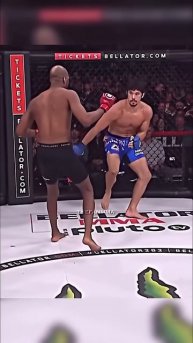 ⚡️MVP BREAKING KNEES ☠️ #BELLATOR #MMA #FIGHTER #shorts #sport #ufc #mvp #bobbygreen