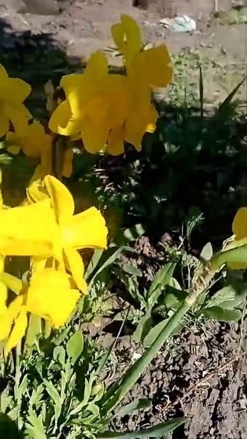 1000028386.mp4