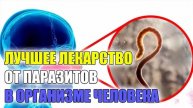 Глисты у человека лечение народными 👍 Название средства от паразитов 😎