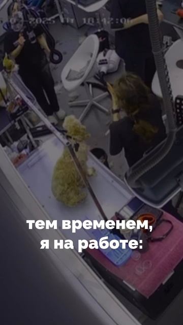 Устаете на работе?