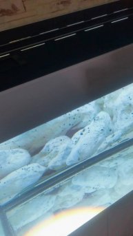 VID_20250424_102228.mp4
