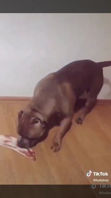 Не может поверить своему счастью.