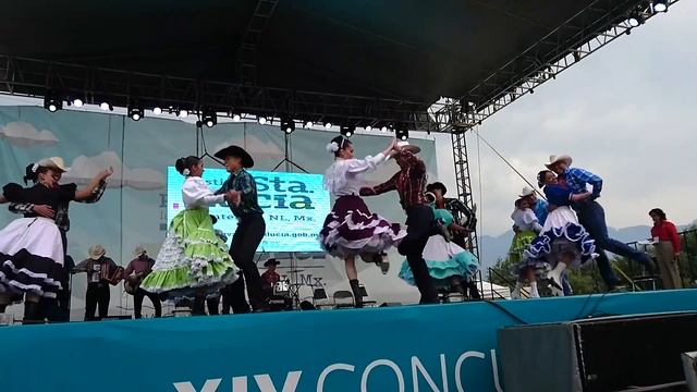 Конкурс польки 2016 -чихуахуа (2) #upskirt#костюмированный#латино#танец