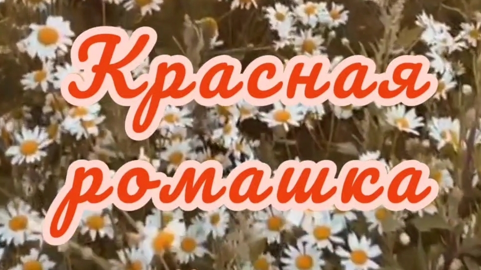 "Красная ромашка", Муса Джалиль
