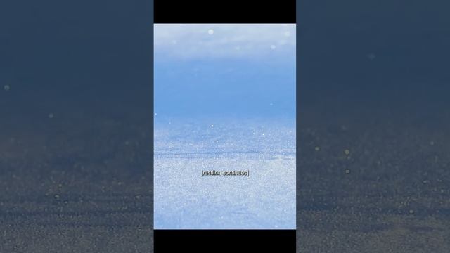 Тихий Охотник