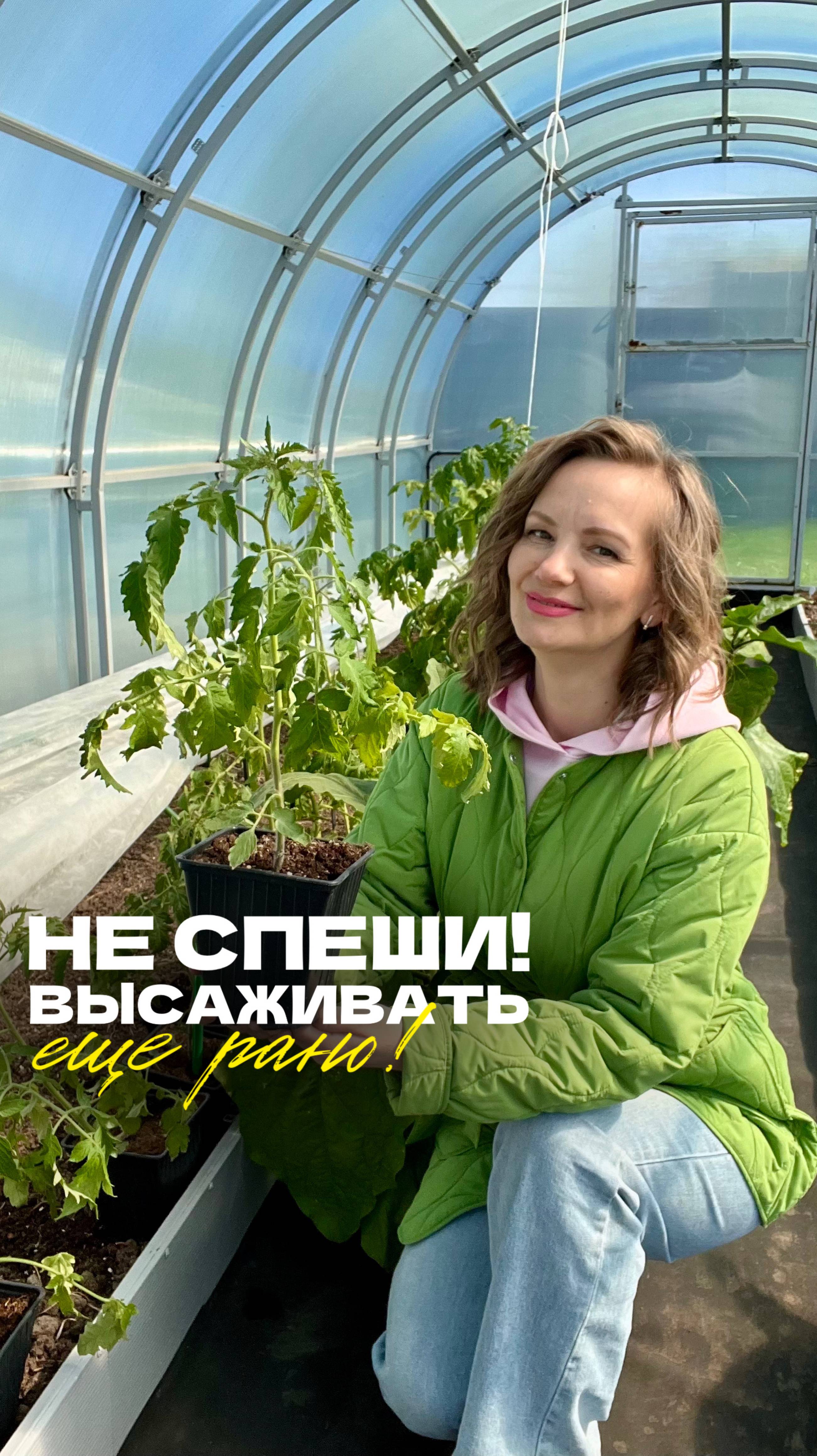 🥶 Когда пора высаживать рассаду? Не торопитесь — заморозки ещё впереди!