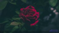 ✸ ♫ ❤ Песня, которая поднимает с колен - Free rap trap type instrumental studio -- MOHMOHRAP -- Stud