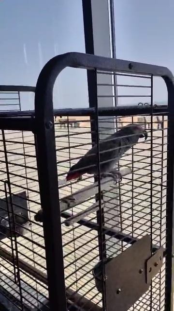 VID-20250430-WA0004.mp4