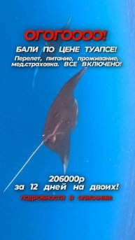 Собирайте чемоданы — Бали ждет!