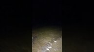 Мойва заполонила побережье вблизи села Самарга в Приморском крае.
Осталось пивка туда завести