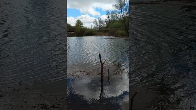 1000153444.mp4