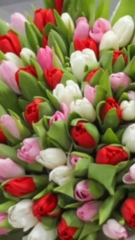 Для тебя 🌷