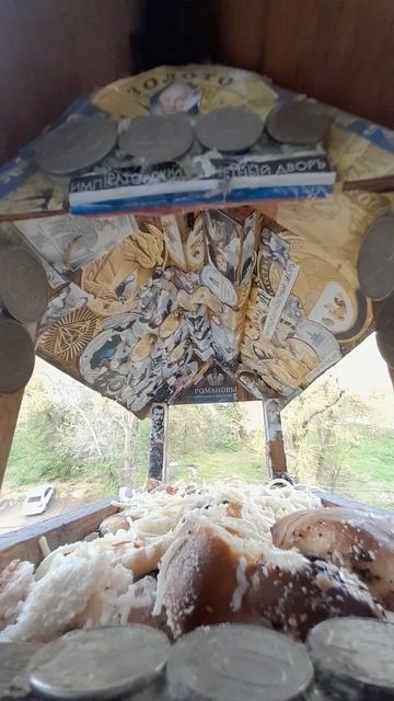 1000042425.mp4Жизнь кормушки.03.05.2025г.